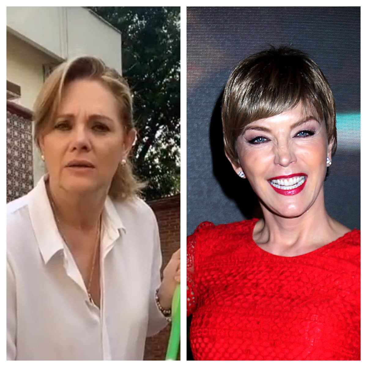 Ambas actrices reaccionaron horas después negando las acusaciones. Laura Flores dijo que "no recordaba" los hechos, mientras que Erika Buenfil dijo que lo dicho por Alejandra Ávalos era una "gran mentira": 
<b><a href="https://www.univision.com/famosos/pobrecita-esta-loca-erika-buenfil-arremete-contra-alejandra-avalos-y-responde-a-cada-una-de-las-acusaciones-fotos" target="_blank">"pobrecita, está loca", dijo. </a></b>
<br>