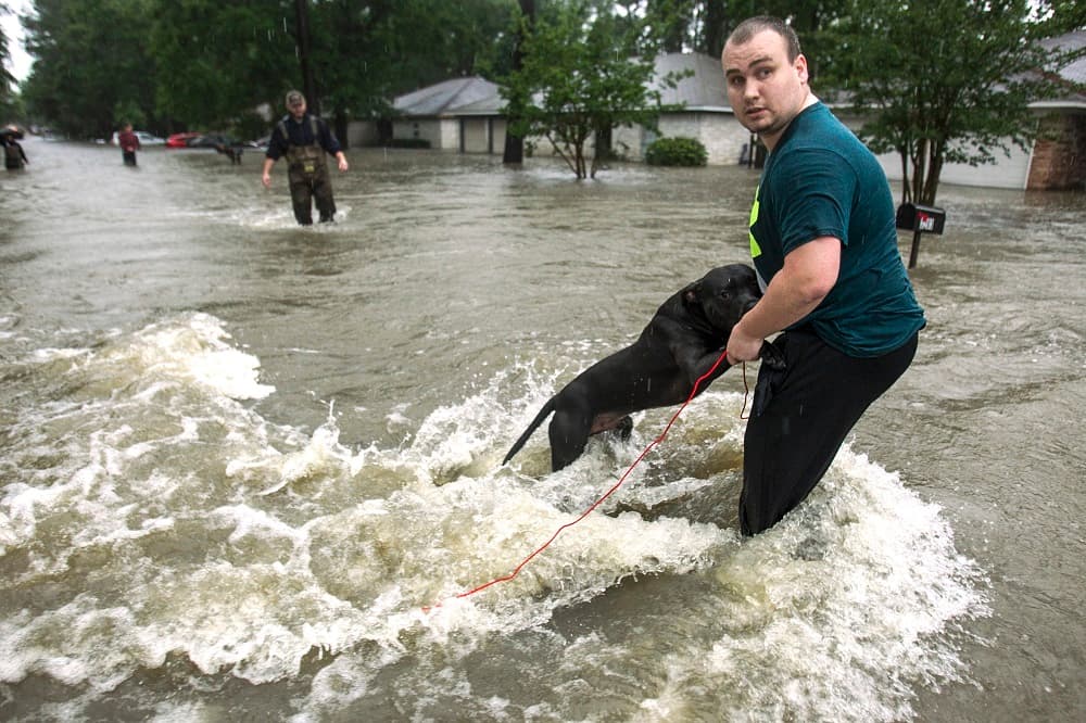 Un residente de Houston sujeta a un su perro por las calles de la ciudad