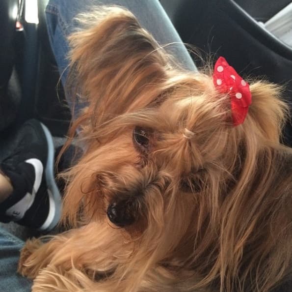 Carmela tiene mucho estilo.