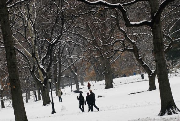 Se crearon grupos de vigilancia y se instalaron cámaras en los camiones para supervisar las labores de limpieza y remoción de nieve.