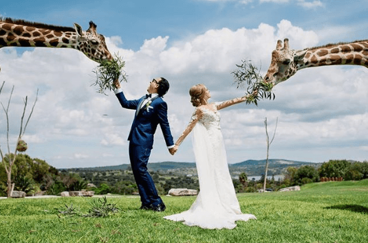 "Hoy, hace un año. Gracias a Dios por haberla encontrado sin buscarla. Amén. No hace falta escribir un discurso, lo que habla mi corazón ya se lo dije a ella. Gracias a todos por sus buenos deseos", escribió el también productor junto a esta fotografía.