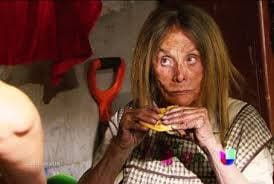 Sus últimas las actuaciones las realizó en las telenovelas 'La Gata', 'Despertar contigo' y 'Un camino hacia el destino'.