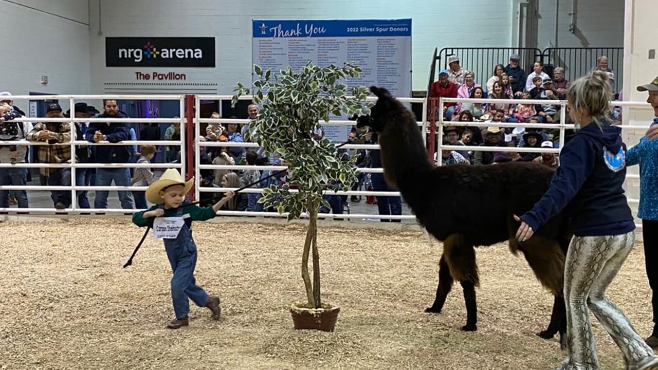 El concurso “Loan a llama” (te prestan una llama) se llevó a cabo el sábado 18 de marzo en las instalaciones de NRG Arena.