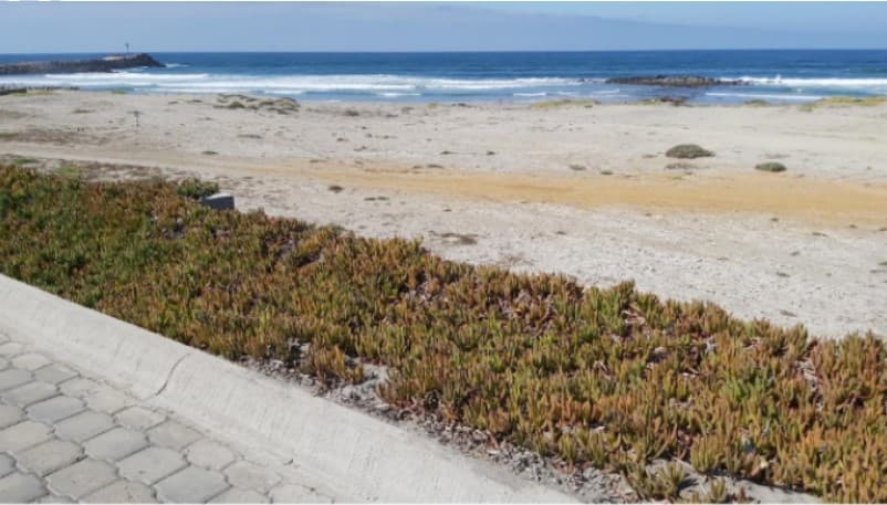 <h3 class="cms-H3-H3">Terreno en Ensenada, Baja California</h3>
<br>
<br>
<b>Ubicación</b>: Condominio Privada del Mar, Ensenada, Baja California
<br>
<b>Tipo de inmueble</b>: Terreno
<br>
<b>Superficie: </b>500 m2
<br>
<b>Valor total del premio en</b>
<b>especie y efectivo: </b>$3.83 millones de pesos