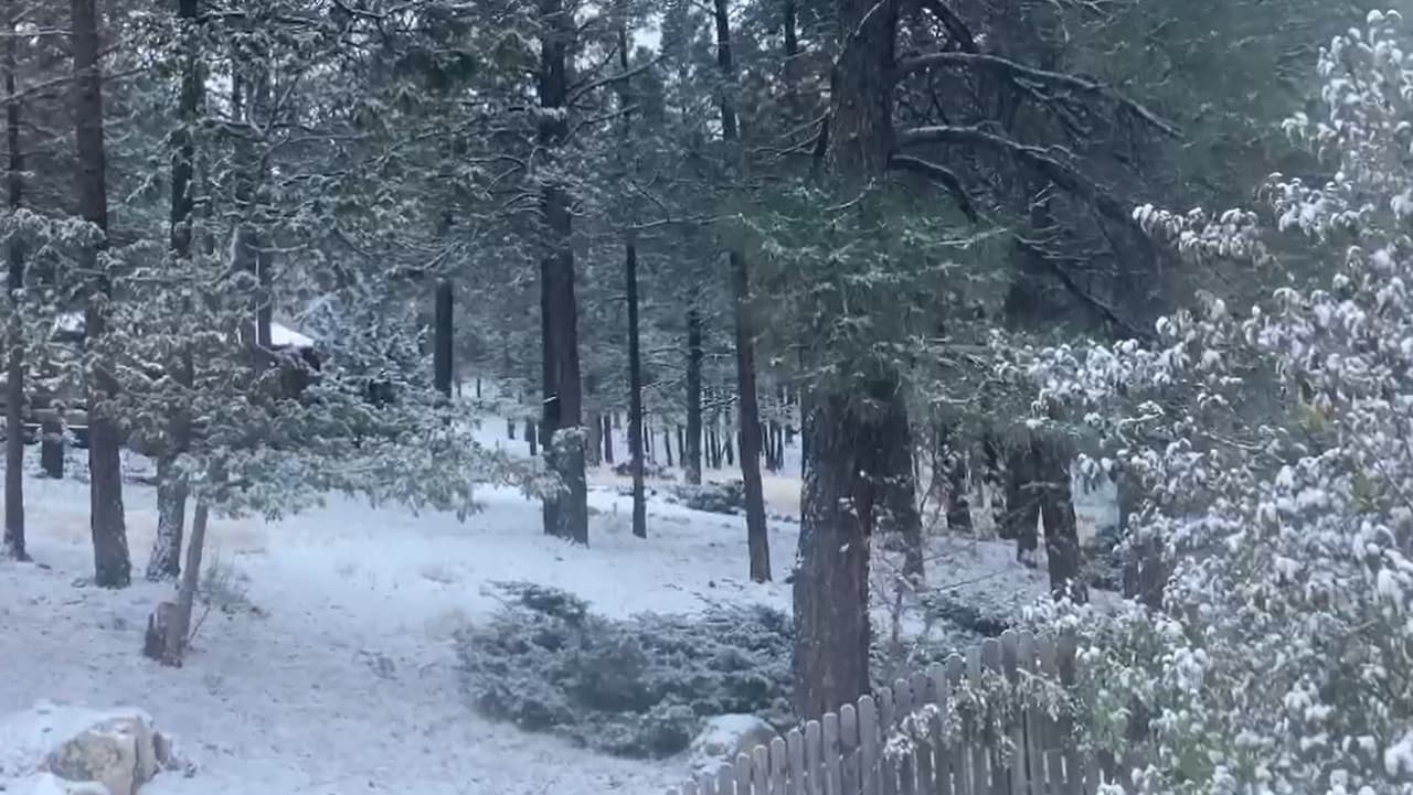 El Servicio Meteorológico Nacional dijo que
<b> las bajas temperaturas se mantendrían</b> a lo largo de la jornada.