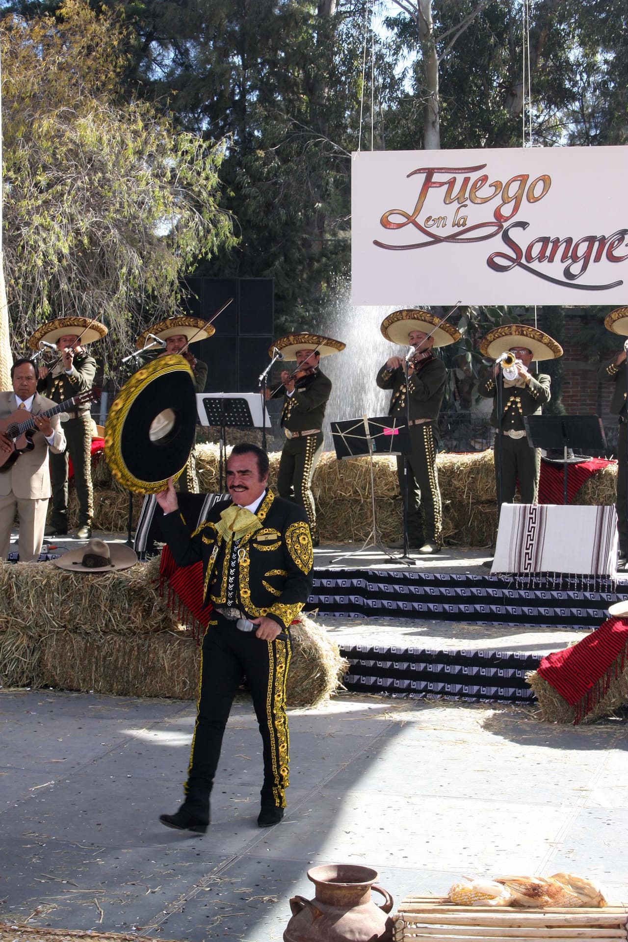 <b><a href="http://www.univision.com/temas/vicente-fernandez">Vicente Fernández</a> </b>fue el encargado de interpretar el tema de la telenovela, el cual se titulaba 'Para siempre' y fue recibido con los brazos abiertos por los fanáticos del cantante.