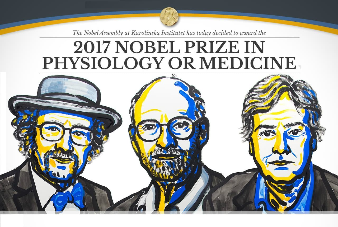 Los descubridores de los mecanismos del 'reloj biológico' humano ganan el Nobel de Medicina