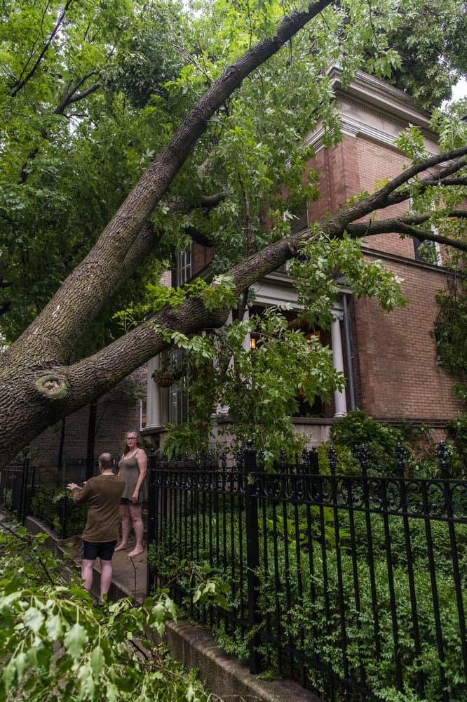 Un árbol cayó sobre esta vivienda en Chicago, tras el impacto de 'derecho'. Patrick Marsh, jefe de apoyo científico del Centro de Predicción de Tormentas del Servicio Meteorológico Nacional en Norman, Oklahoma, lo comparó con un devastador Super Derecho de 2009, que fue uno de los más fuertes de los que se tiene constancia y que recorrió más de 1,000 millas en 24 horas, causando daños por valor de 500 millones de dólares, cortes de luz generalizados y matando a un puñado de personas.