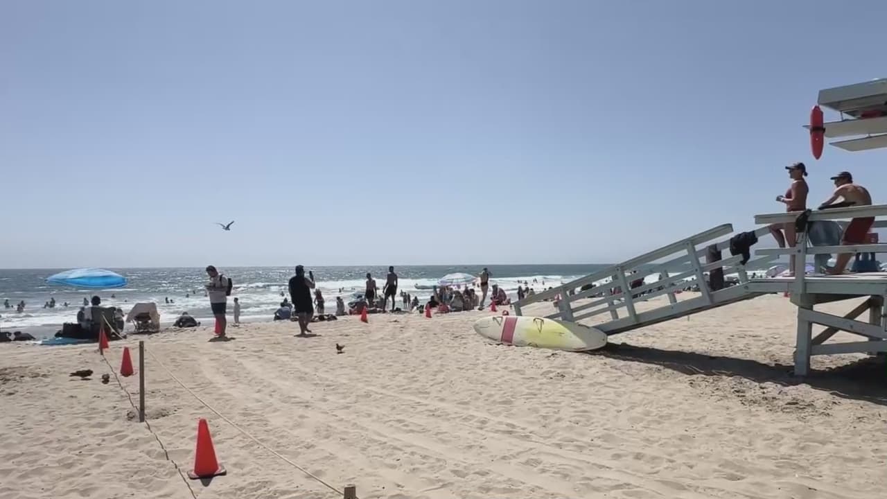 Alertan a bañistas por alto oleaje en las playas del sur de California: expertos dan recomendaciones