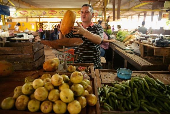 Desde mediados de la década de 1990, los vendedores independientes se instalaron en los mercados al aire libre para vender frutas, hortalizas y carne, todo lo cual es muy caro para el cubano promedio.
