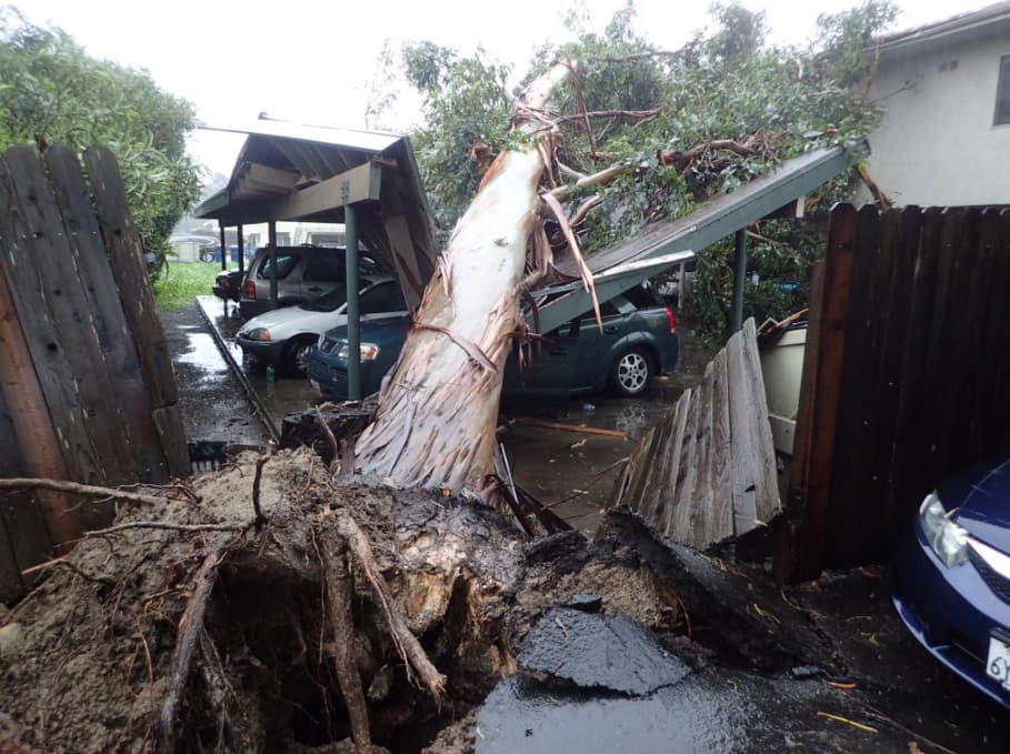 Los efectos de una poderosa tormenta se comenzaron a sentir la mañana del viernes en varios condados del sur de California, tal y como lo había previsto el Servicio de Meteorología Nacional (NWS).