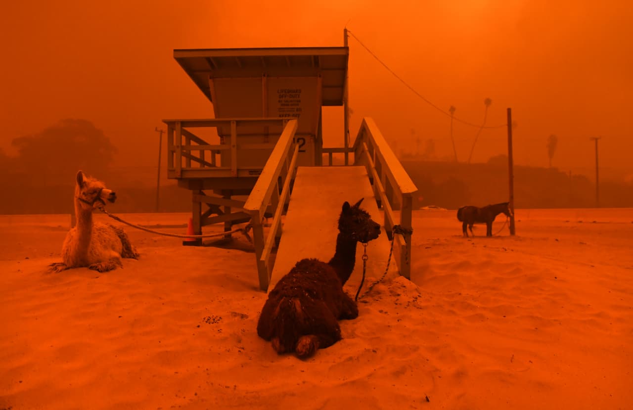Un grupo de 
<b>llamas fueron atadas a un puesto de salvavidas</b> en la playa de Malibu. Al fondo de la fotografía el fuego Woosley bajando la colina hacia el mar.