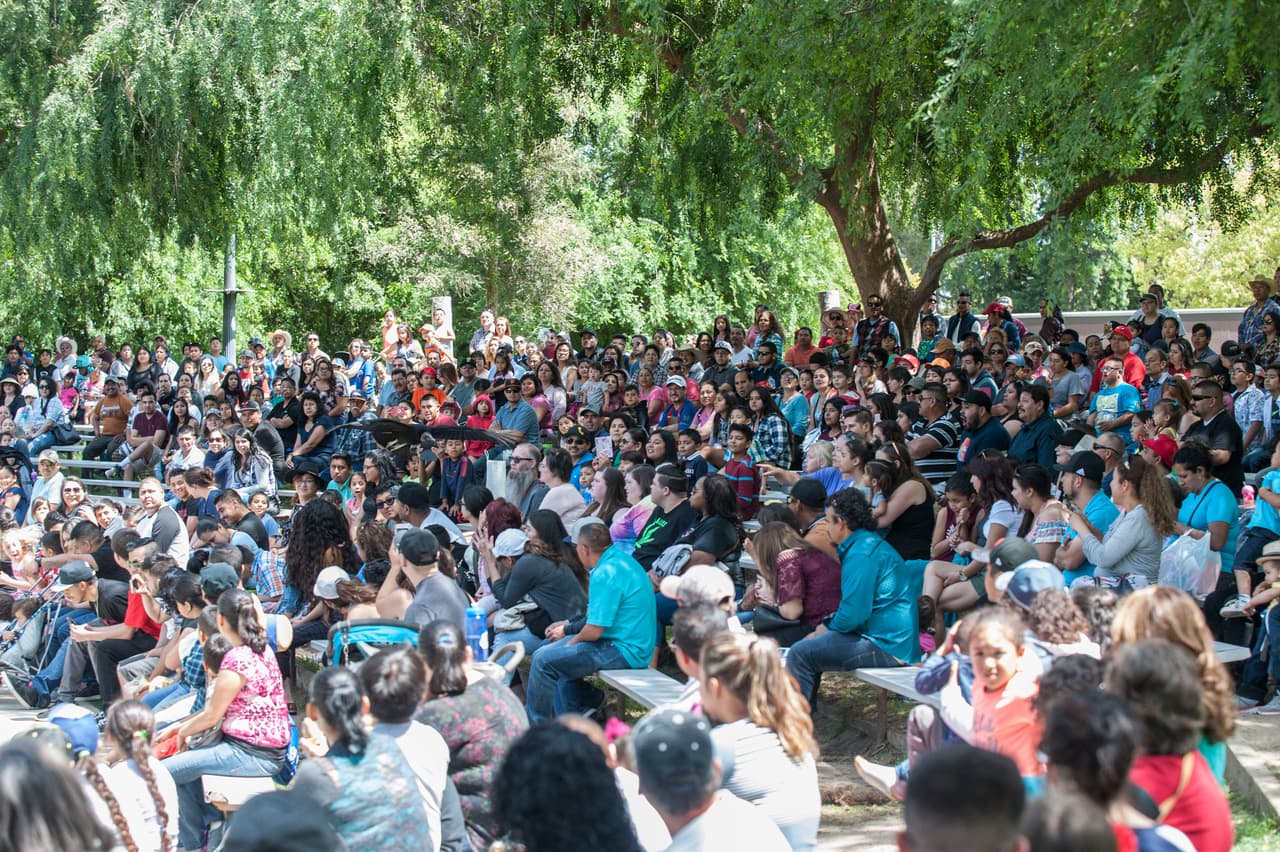El show de aves fue uno de los favoritos durante el Festival de los Niños 2017
