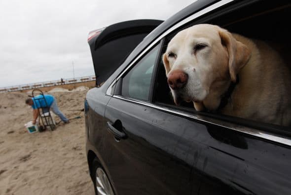 La Administración Nacional Oceanográfica y Atmosférica (NOAA) informó que el huracán se dirige a impactar una zona donde puede afectar a entre 50 y 60 millones de personas.