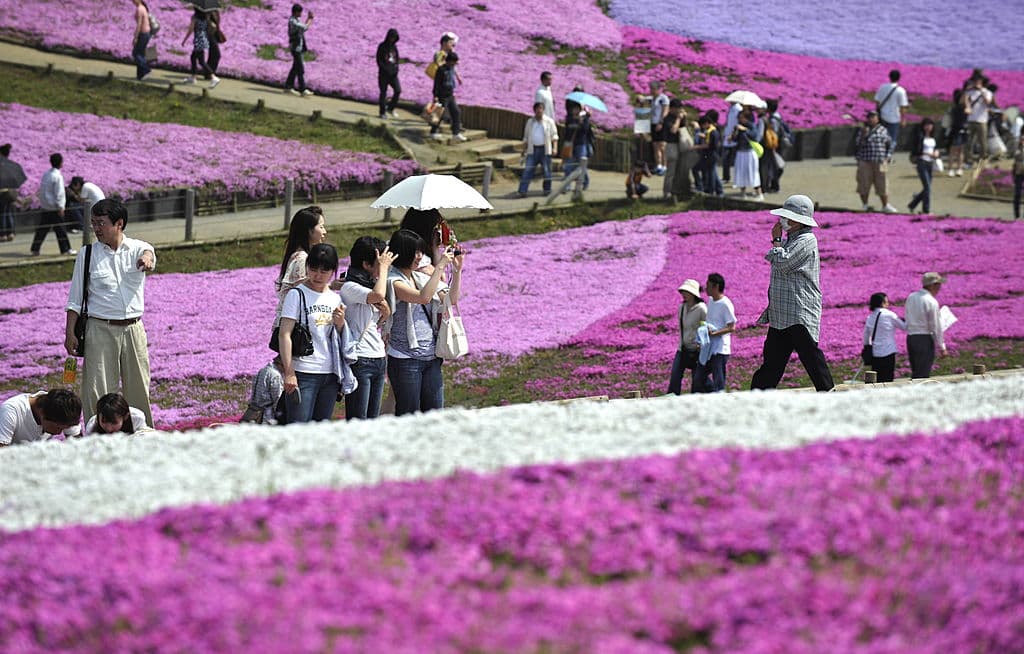 El aroma de la felicidad: que favorezca también a los demás