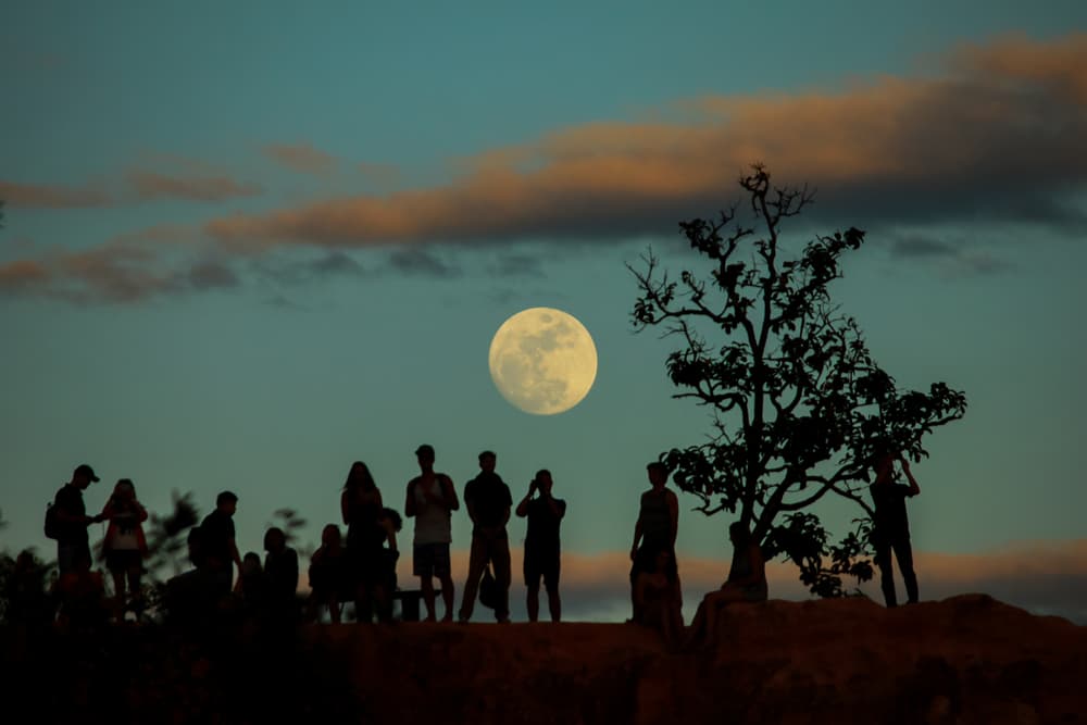 Las diferentes fases de la Luna son significativas para la interpretación astrológica. 
<br>La Luna Llena indica un tiempo de crecimiento y de extraversión; quienes han nacido un día de plenilunio se destacan por su objetividad y conciencia clara.