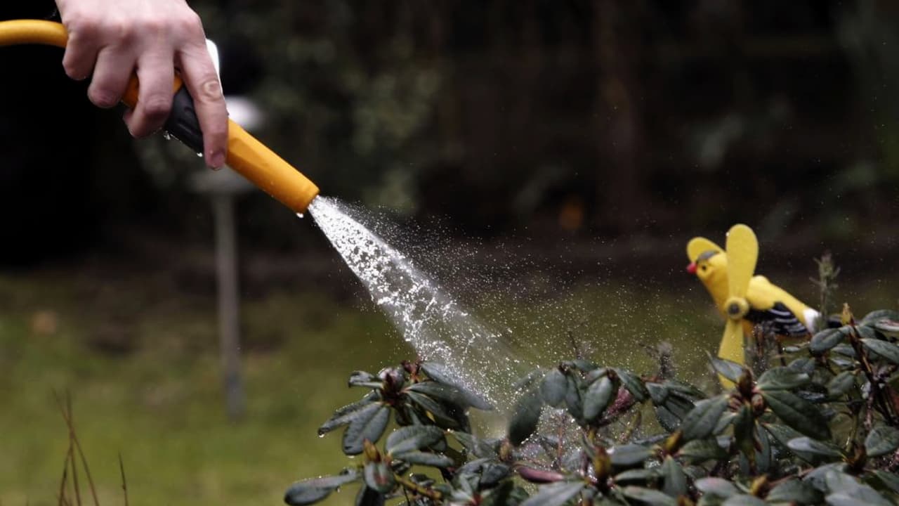 Escasez de agua en St. Pete: autoridades llaman a conservar y respetar horarios de riego