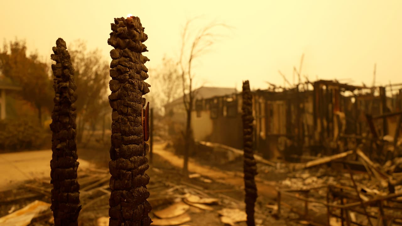 Más incendios, glaciares derretidos, olas de calor extremas y el desarrollo de muchos sistemas tropicales durante una temporada son muestra de que el cambio climático ya azota al planeta, según confirman especialistas. De acuerdo con climatólogos, los próximos 10 años serán los más cálidos en la historia. “Debemos ajustar la manera en que vivimos”, asegura Katharine Ricke, de Scripps Institution of Oceanography.