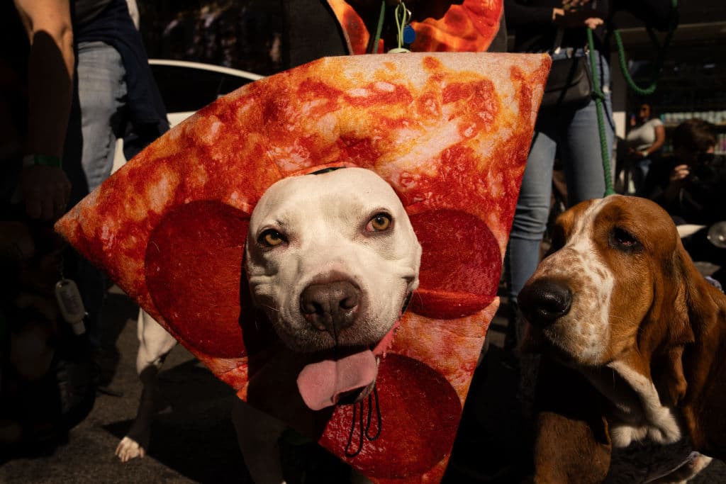 Con atuendos coloridos decenas de mascotas y sus dueños desfilaron por el East Village.
<br>