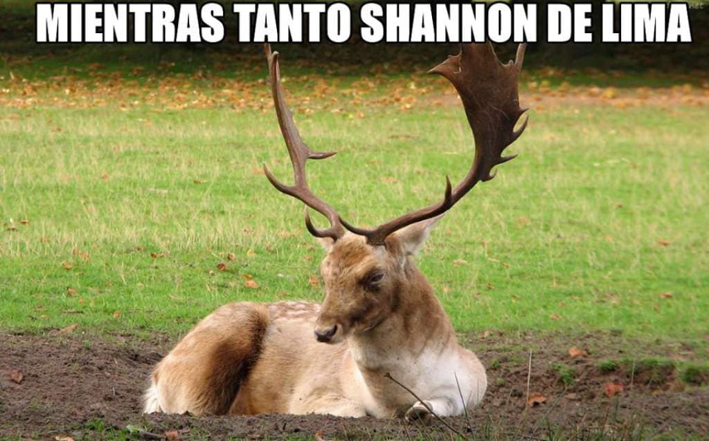 "Pero que no le digan en la esquina..."