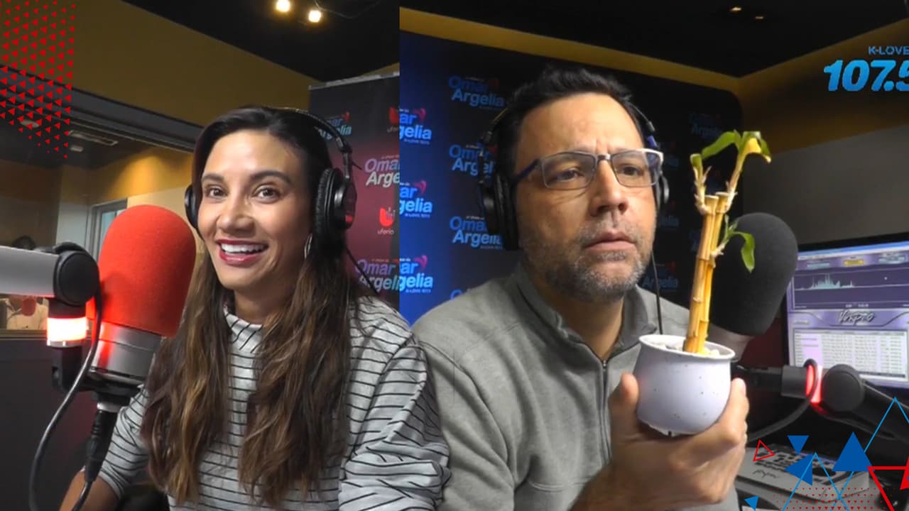 Tener plantas en el trabajo ayuda a los empleados y Argelia decidió hacer una prueba