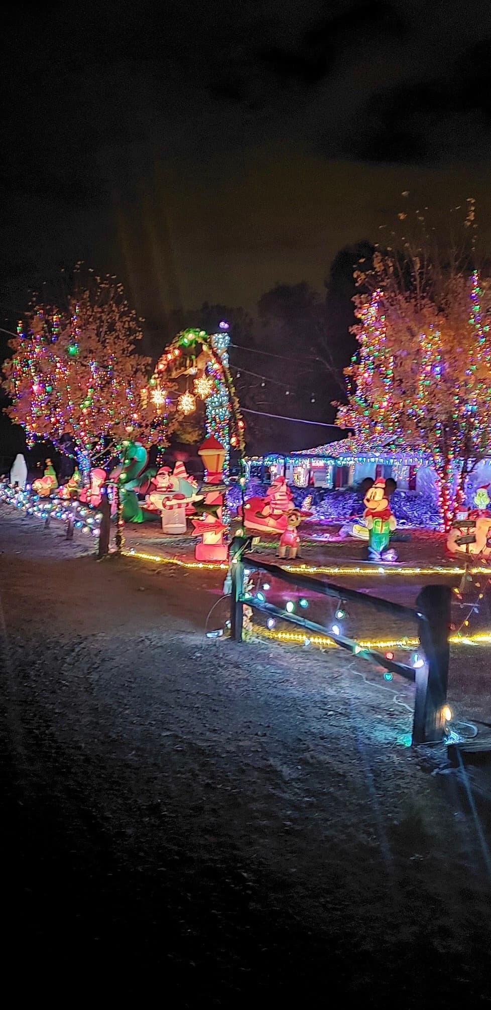 “Solo una forma de difundir la alegría navideña”, indica Mónica Rascón, madre de familia que arma este espectáculo navideño.
<br>