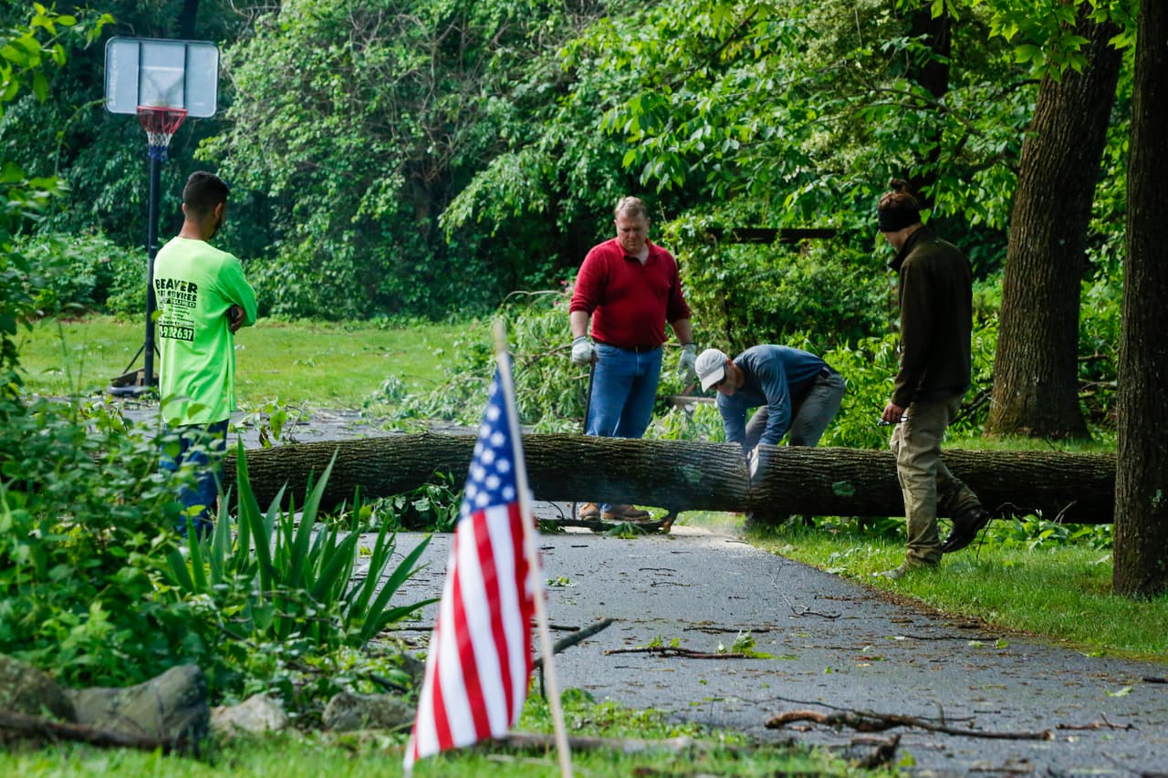 Use zapatos gruesos o botas, mangas largas y guantes. Aprenda los procedimientos correctos de seguridad y de operación de herramientas o sierras eléctricas o a gas antes de operarlas.