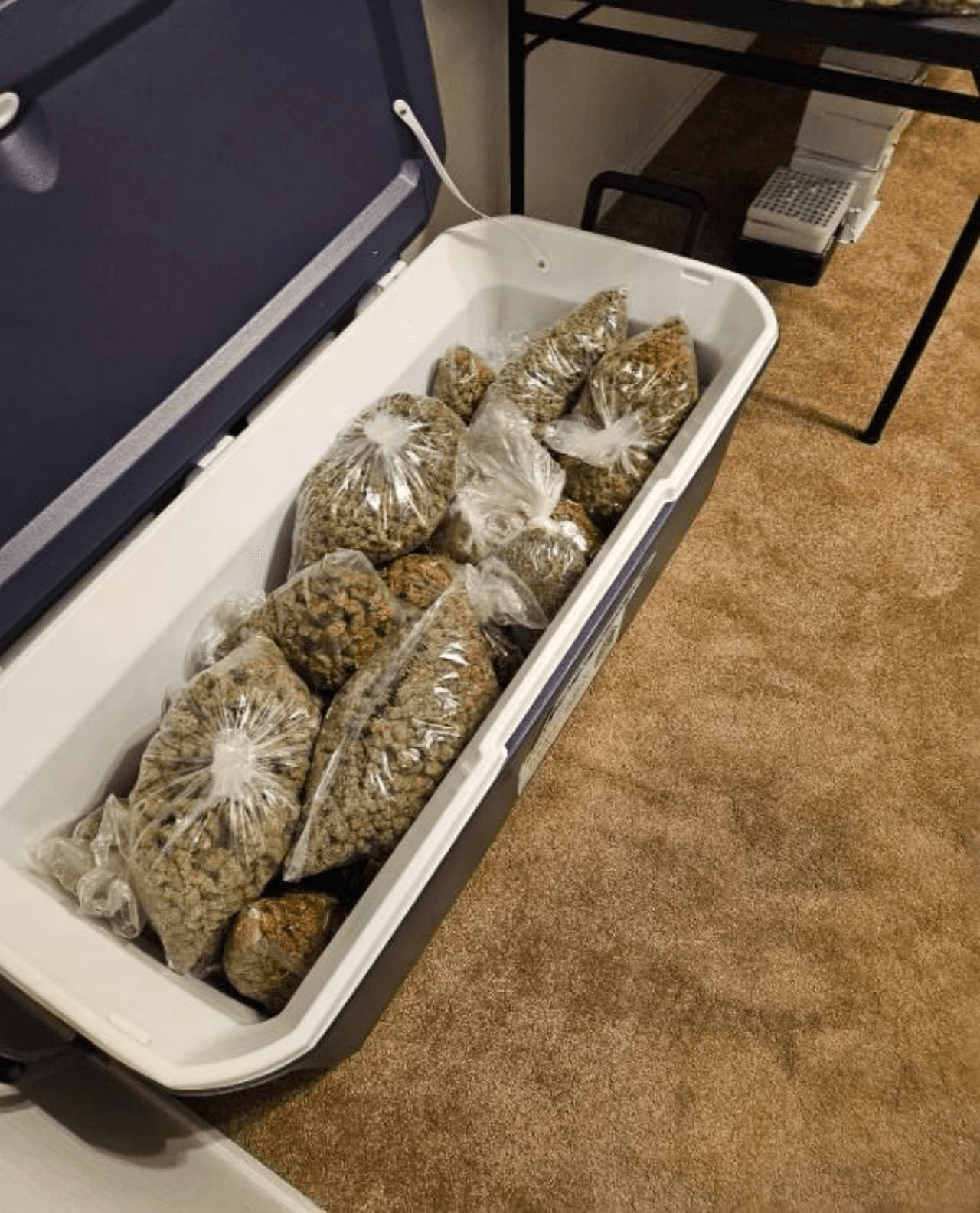 Operativo en Phoenix lleva al decomiso de armas, drogas y dinero en efectivo