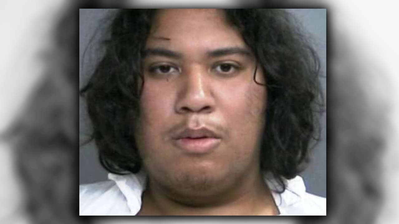 Arrestan a un joven que degolló a su hermano menor mientras jugaba videojuegos