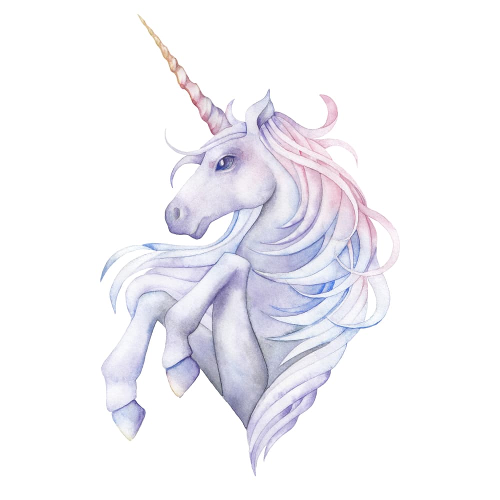 A lo largo de la historia se ha creído que el cuerno de un unicornio era un objeto dotado de grandes poderes. Además de la purificación del agua, también curarían cualquier herida y alargarían la vida, si se consumía el cuerno una vez reducido a polvo. Pero si el cuerno se desprendía del animal, este moría sin remedio.