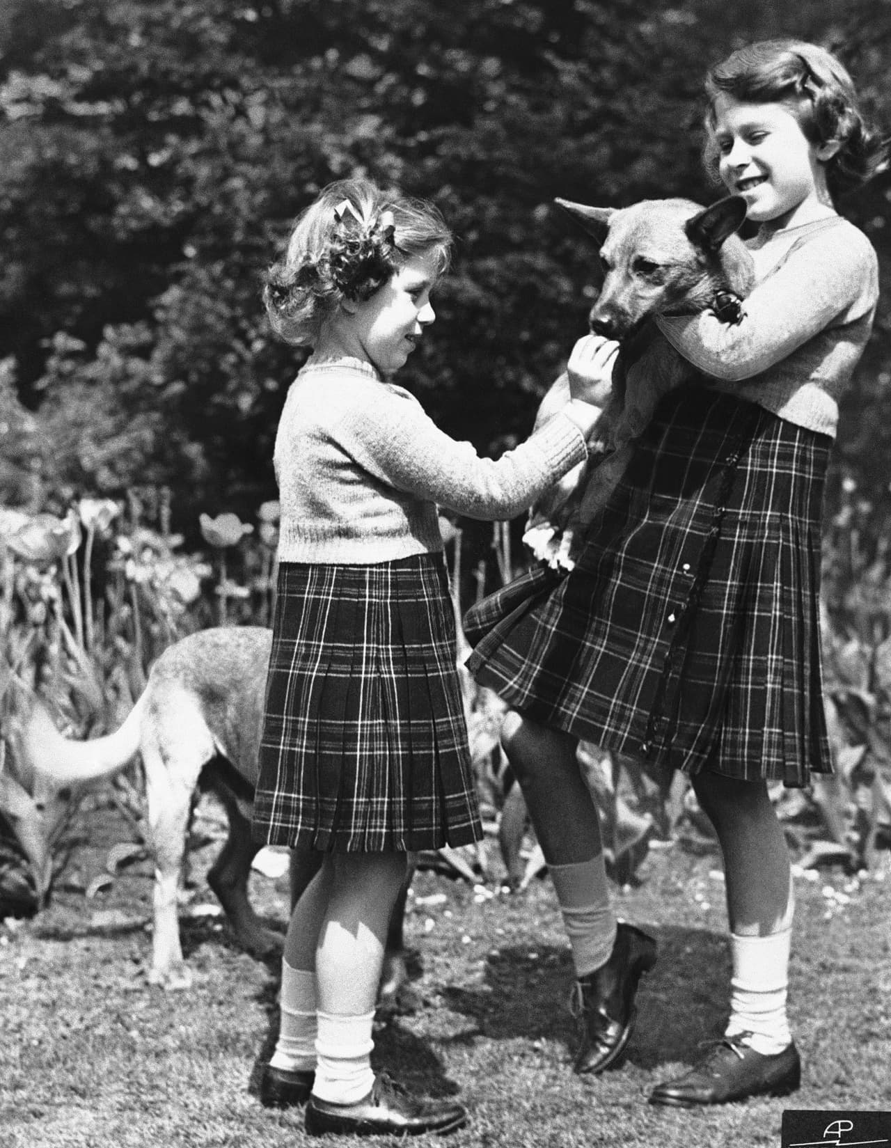 En esta imagen del 5 de julio de 1936 la entonces princesa Isabel sostiene a un corgi mientras que su hermana, la princesa Margarita, lo alimenta. El amor de la reina por los corgis comenzó en 1933 cuando su padre, el rey Jorge VI, trajo a casa un corgi galés de Pembroke al que llamaron Dookie.