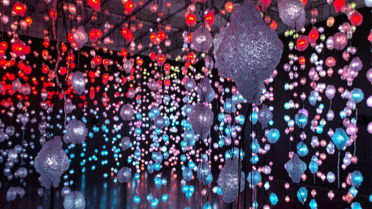 <a href="https://www.univision.com/local/houston-kxln/big-bambu-una-nueva-exhibicion-en-el-museo-de-bellas-artes-de-houston">El Museo de Bellas Artes </a>d e Houston ofrece a sus visitantes exhibiciones permanentes y rotativas con pinturas, arte moderno, arte visual, con el color y la calidad que necesitas para una excelente fotografía para Instagram. La entrada los jueves el gratis.