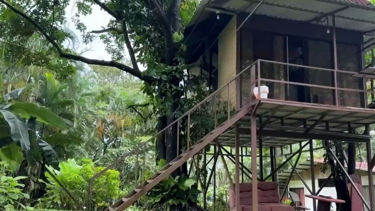 Un meteorito transformó por completo la vida de una comunidad en Costa Rica; esto fue lo que pasó