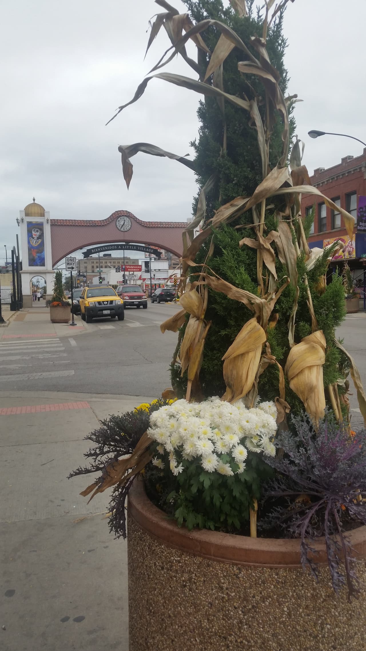 El tradicional barrio de La Villita ya se está preparando para celebrar el Día de Muertos.