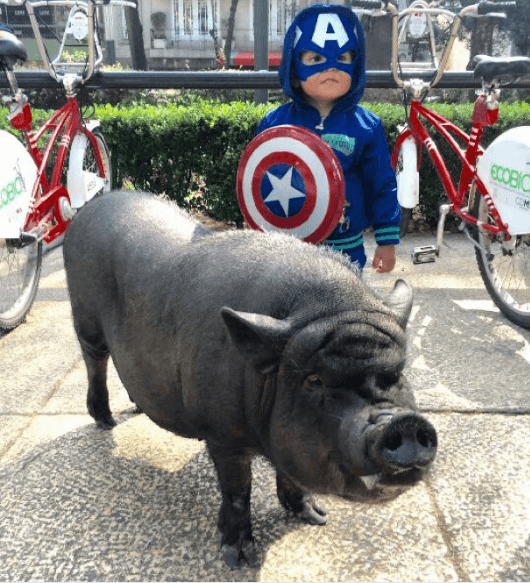 Y es común verla posar para la foto en la calle junto a quien así se lo pide.