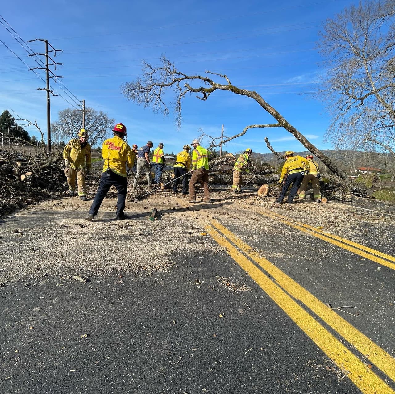 Más al norte de la Bahía, las brigadas del Cal Fire informaron que desde la noche del viernes comenzaron a atender reportes de árboles caídos debido a los fuertes vientos.