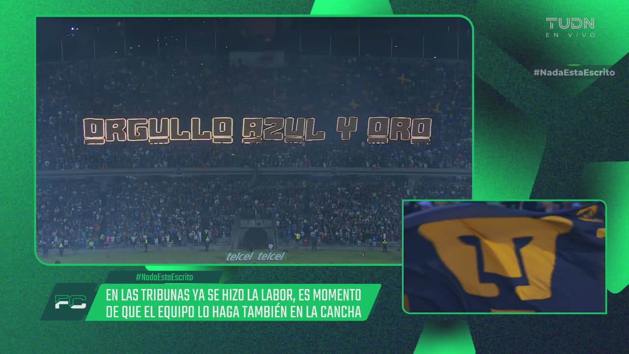 Conoce al creador de los tifos de Pumas UNAM