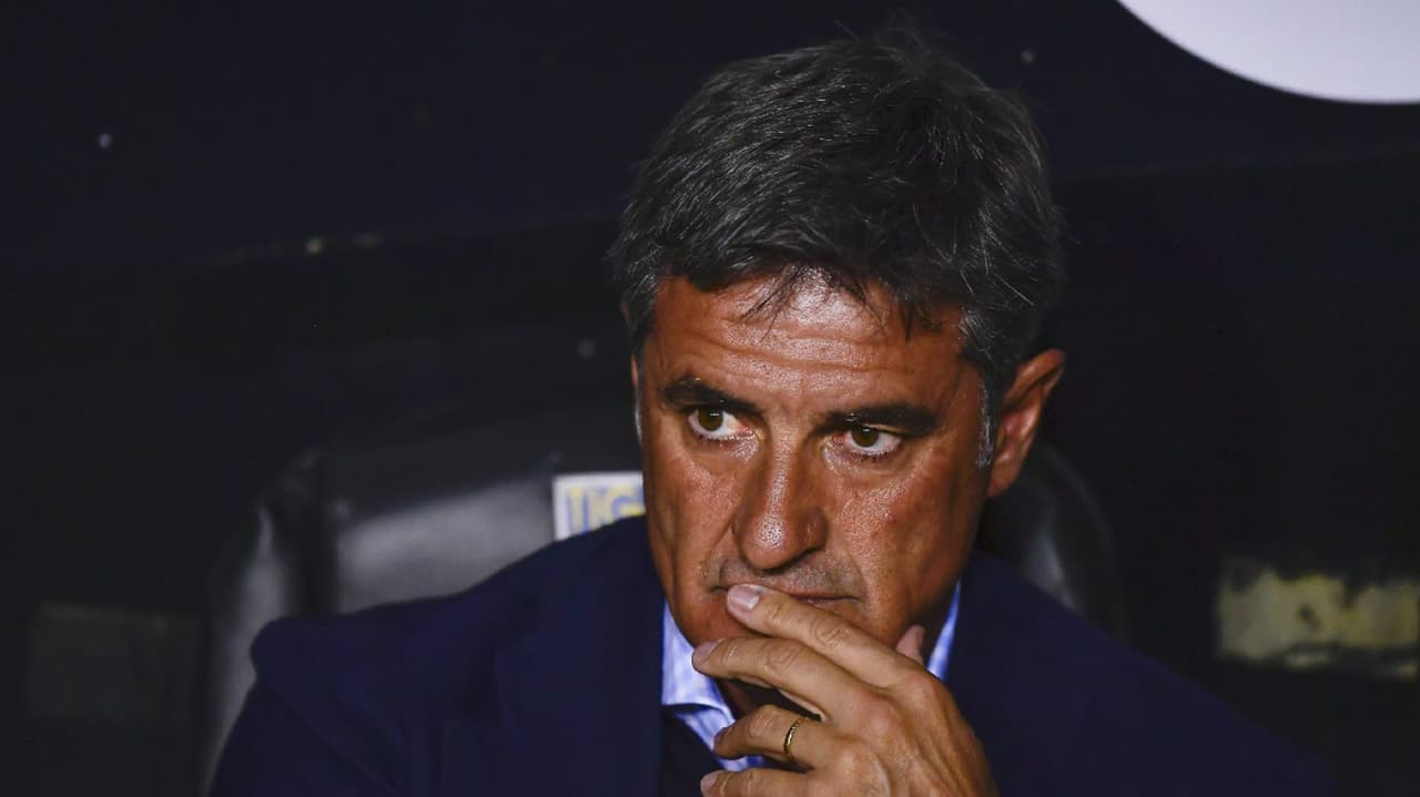 Compañeros y sus rivales no cesan en elogios a Gignac