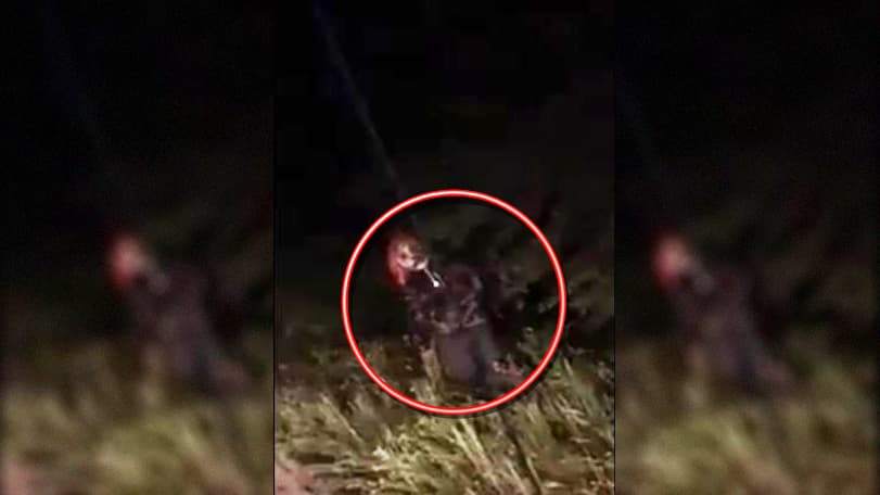 Payaso supuestamente visto en Ocala, Florida.