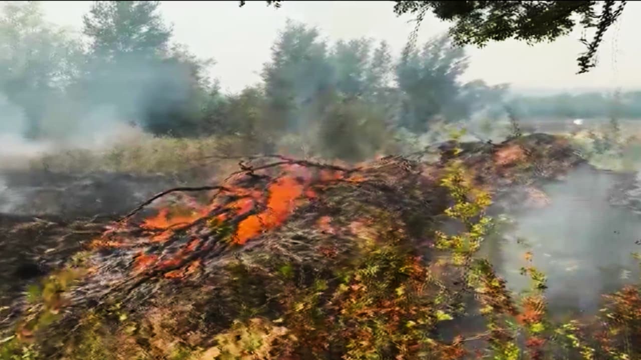 Incendio Ross ha consumido más de 80,000 acres y solo está contenido un 12%: más de 350 evacuados