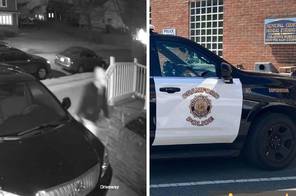 “Hay un gato en el buzón” Buscan a hombre que deja gato muerto en casa de Nueva Jersey