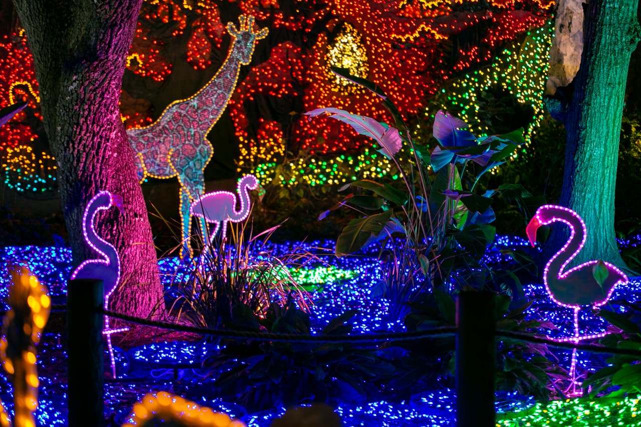 Este año habrá carrusel de la vida silvestre.