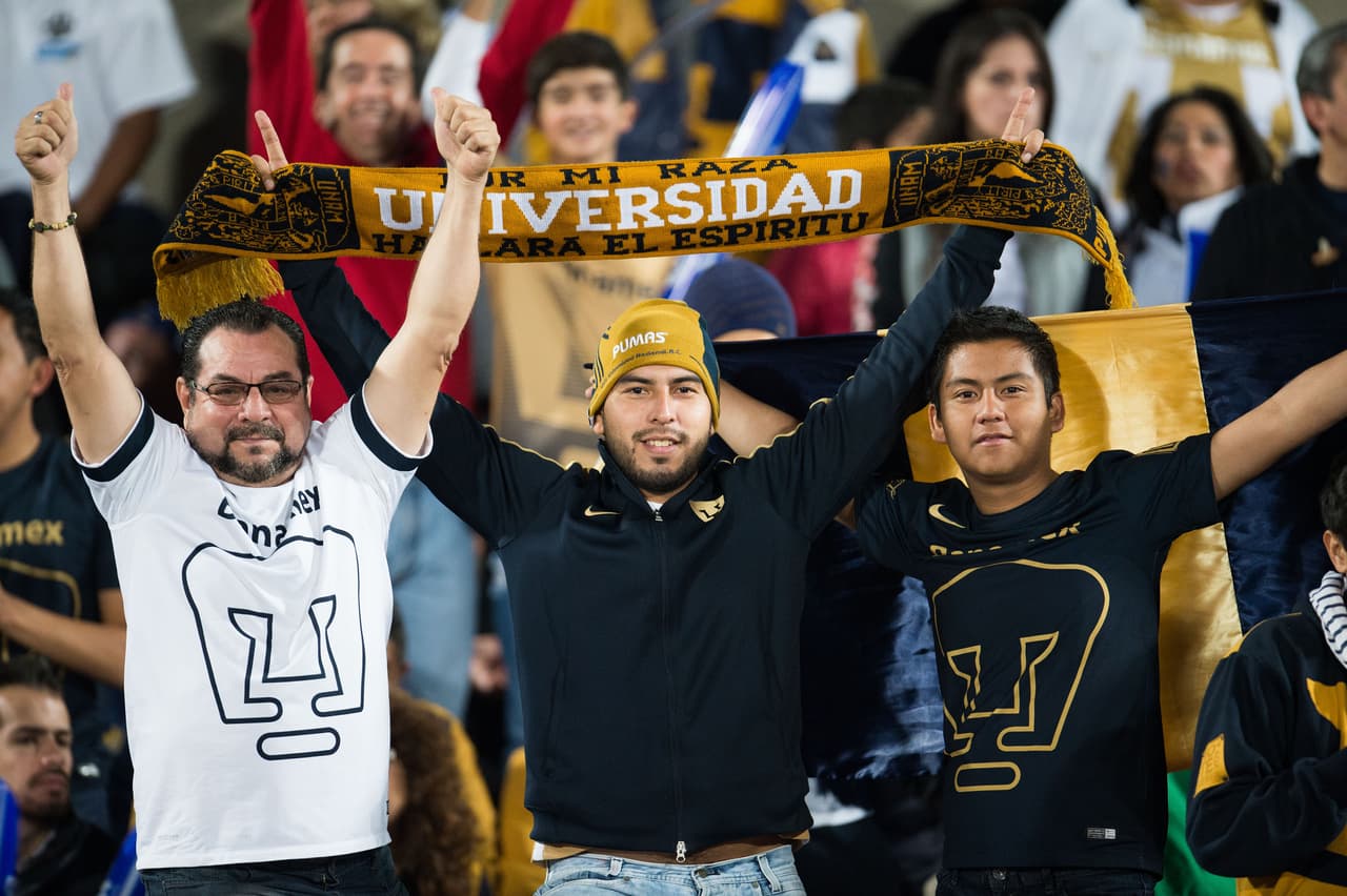 Además, los Felinos tienden a ser un equipo que tenga seguidores jóvenes, de distintos estratos sociales y see obtiene un cariño particular cuando estudian en la Universidad Nacional Autónoma de México (UNAM).