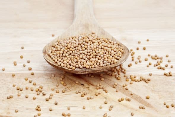 Las semillas. Si lo que te interesa de tus plantas son las semillas "como en el caso del cilantro, el eneldo, el comino o el hinojo", puedes cosecharlas una vez que el tegumento (la capa que rodea a la semilla) cambie de color.