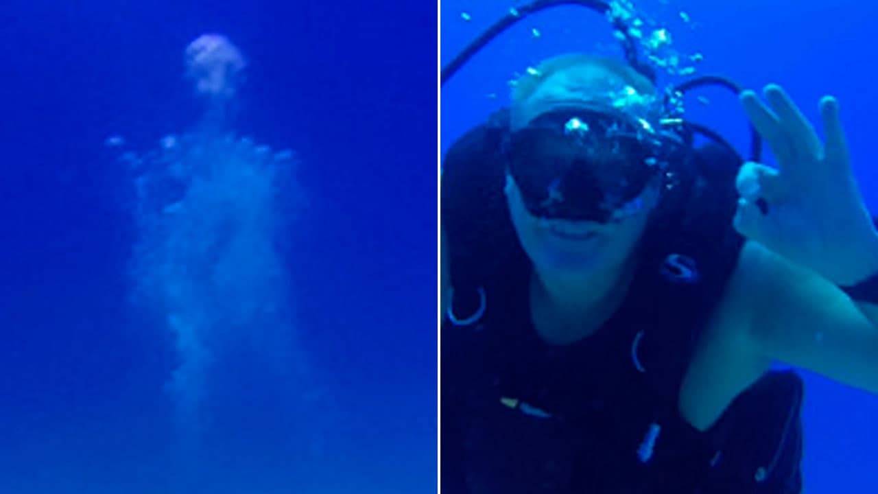 ¿Qué opinas? ¿Distingues la forma del esqueleto? ¿Qué hubieras hecho tú si te hubiera ocurrido lo mismo?