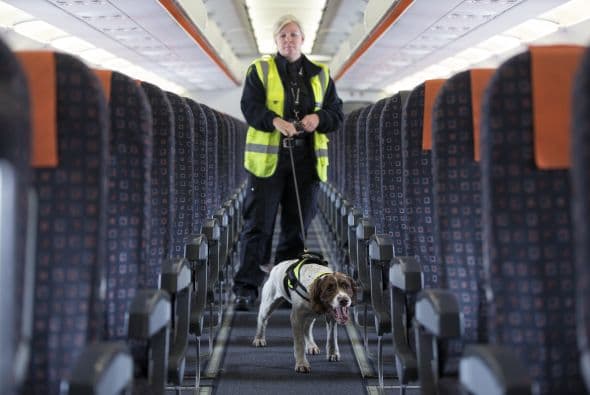 Pero también es de mucha ayuda que tan solo marquen la dirección en la que se encuentran el objeto buscado.