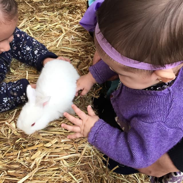 Para febrero de 2015 'mini Jacky' estaba por cumplir dos años y Carolina era todavía una bebé de 7 meses.