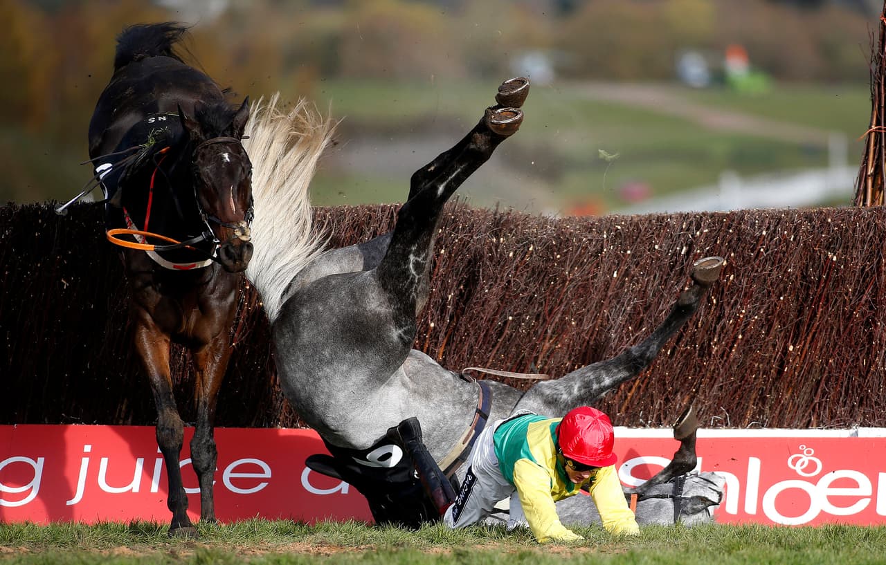 A pesar de lo que podría pensarse por la secuencia de imágenes, el jockey informó en su cuenta de Twitter de redes sociales que él y su caballo están en perfectas condiciones, sin ninguna lesión. Todo un milagro.