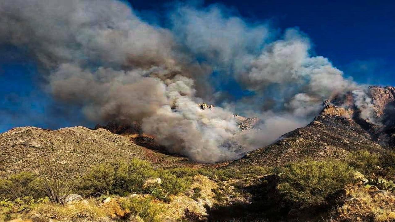Bomberos siguen luchando contra el incendio Bighorn, a once días de su inicio
