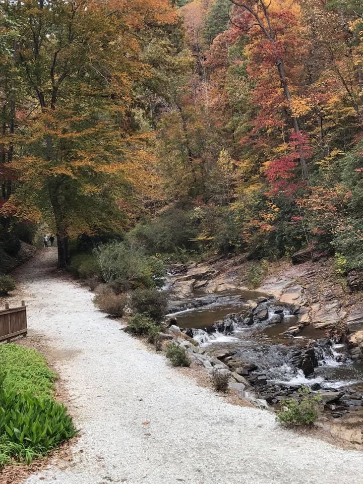 Un camino de fácil acceso de aproximadamente 100 yardas (300 pies) conduce a las cataratas desde la histórica 'Gate Cottage', en el campus.